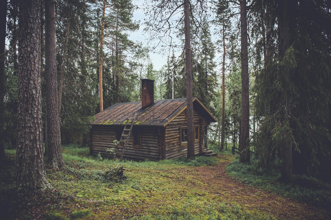 The Laurelwood Lodge — cabin style inspiration for London, Kentucky